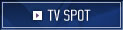 TV Spot