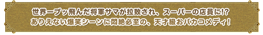 世界一ブッ飛んだ将軍サマが拉致され、スーパーの店員に!?ありえない爆笑シーンに悶絶必至の、天才級おバカコメディ！