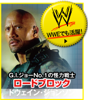 WWEでも活躍！
