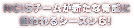 NCISチームが新たな脅威に狙われるシーズン6！