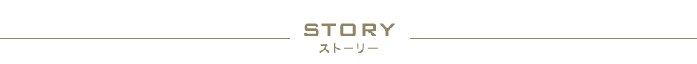 STORY ストーリー